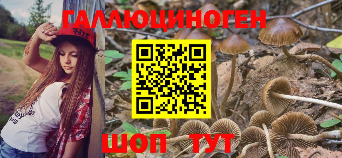 Псилоцибиновые грибы GOLDEN TEACHER  Вход с VPN  Тамбов 